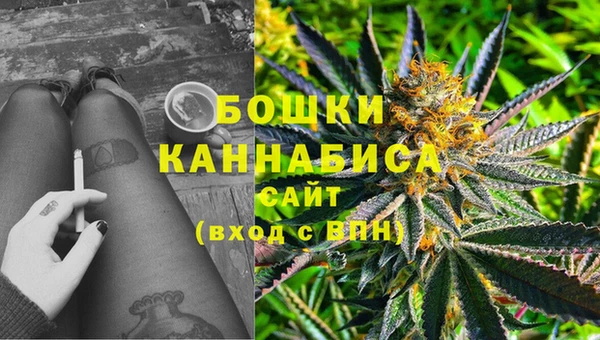 бошки Бородино