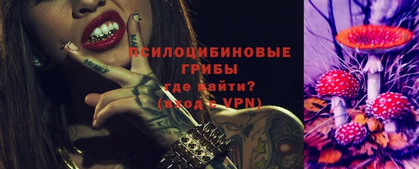 бошки Бородино
