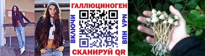цена наркотик  MEGA ONION  Галлюциногенные грибы ЛСД  Дагестанские Огни 